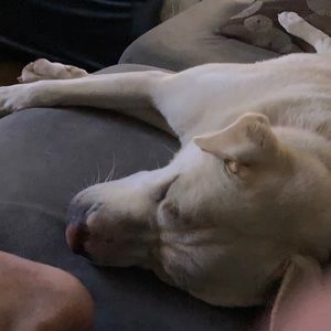 Meet your Posher, Christy